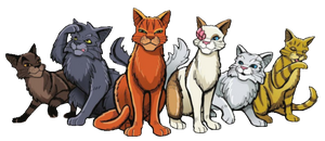 Chats du Clan du Tonnerre