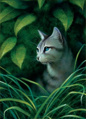 Warrior Cat Apprentie Warrior Cat Apprentie