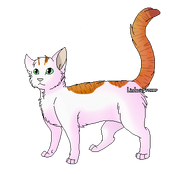 Cendry2