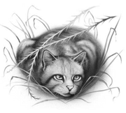 Longue Plume.Code of the Clans