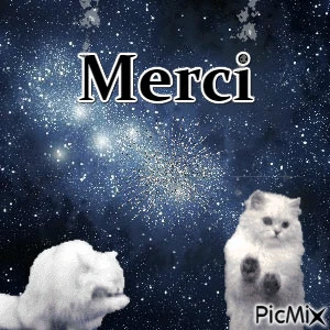 Résultat de recherche d'images pour "picmix"