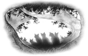 Fondateurs
