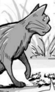 Patte de Pierre.manga La promesse de l'Élu