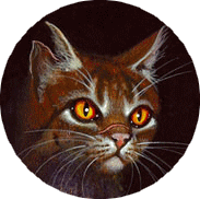 Etoile du Tigre timeline