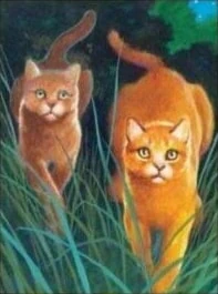 Tempête de Sable | Wiki La guerre des Clans | Fandom