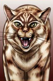 Étoile du Tigre