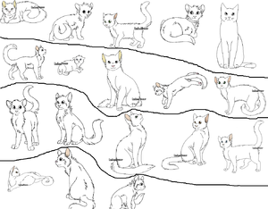 Projet images 1
