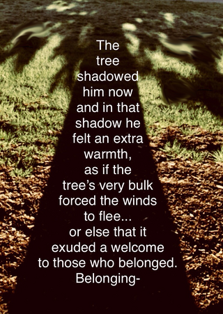 Excerpt, The Rifle's First Wife