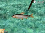 Sweetfish2