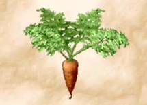 Carrot 2
