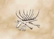 Bone 3