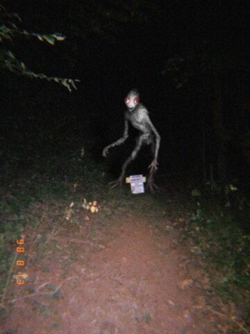ChickenThing1