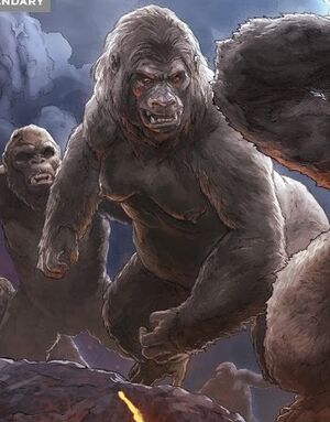 Kongs mom
