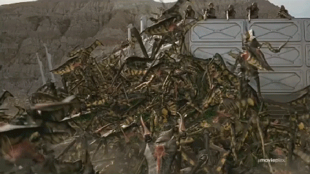 First War Bug