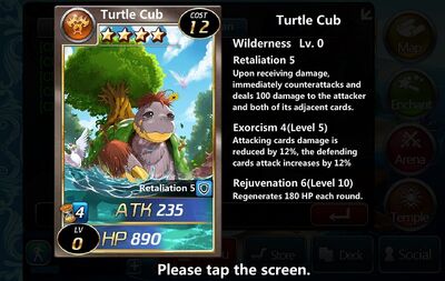 Turtle Cub