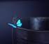 Blue Butterfly