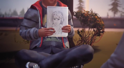 Max Portrait