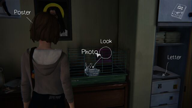 Datei:Field of View.jpg