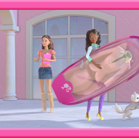 barbie life in the dreamhouse closet