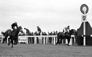 Wikia LoM - Red Rum winning GN ('73)