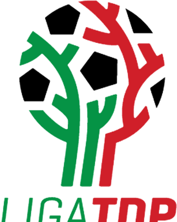 Torneo Expansion Futbol Mexicano Wiki Fandom