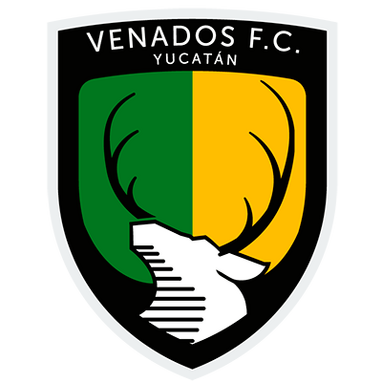 Archivo:VENlogo.png