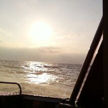HorizontMG06