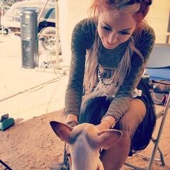 The Arena (song) | Lindsey Stirling Wikia | Fandom