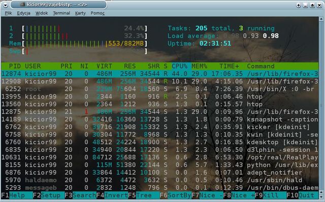 Plik:Htop.jpg