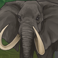Npcbullelephant
