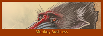 MonkeyBusiness