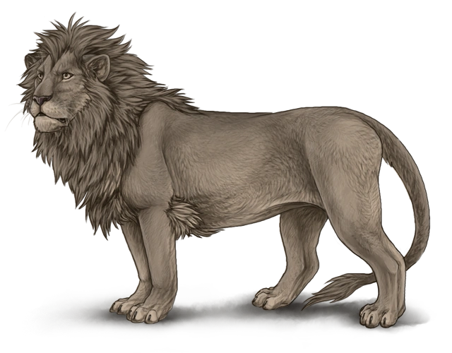Raffle (Special) Markings Lioden Wiki FANDOM powered by Wikia