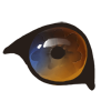 EyeChanger
