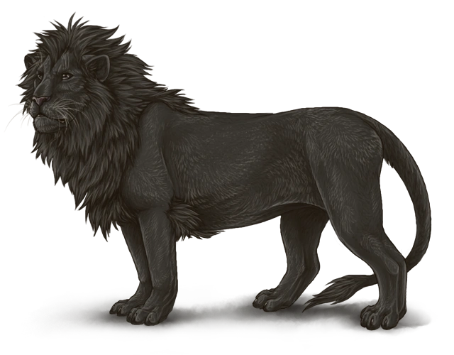 Base Colors Lioden Wiki FANDOM powered by Wikia