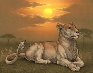 Lioness