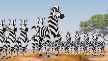 The-zebra-mastermind (99)