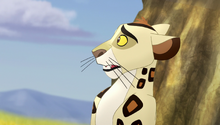 The-trouble-with-galagos (433)