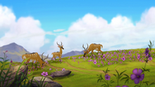 Bunga-the-wise-hd (302)