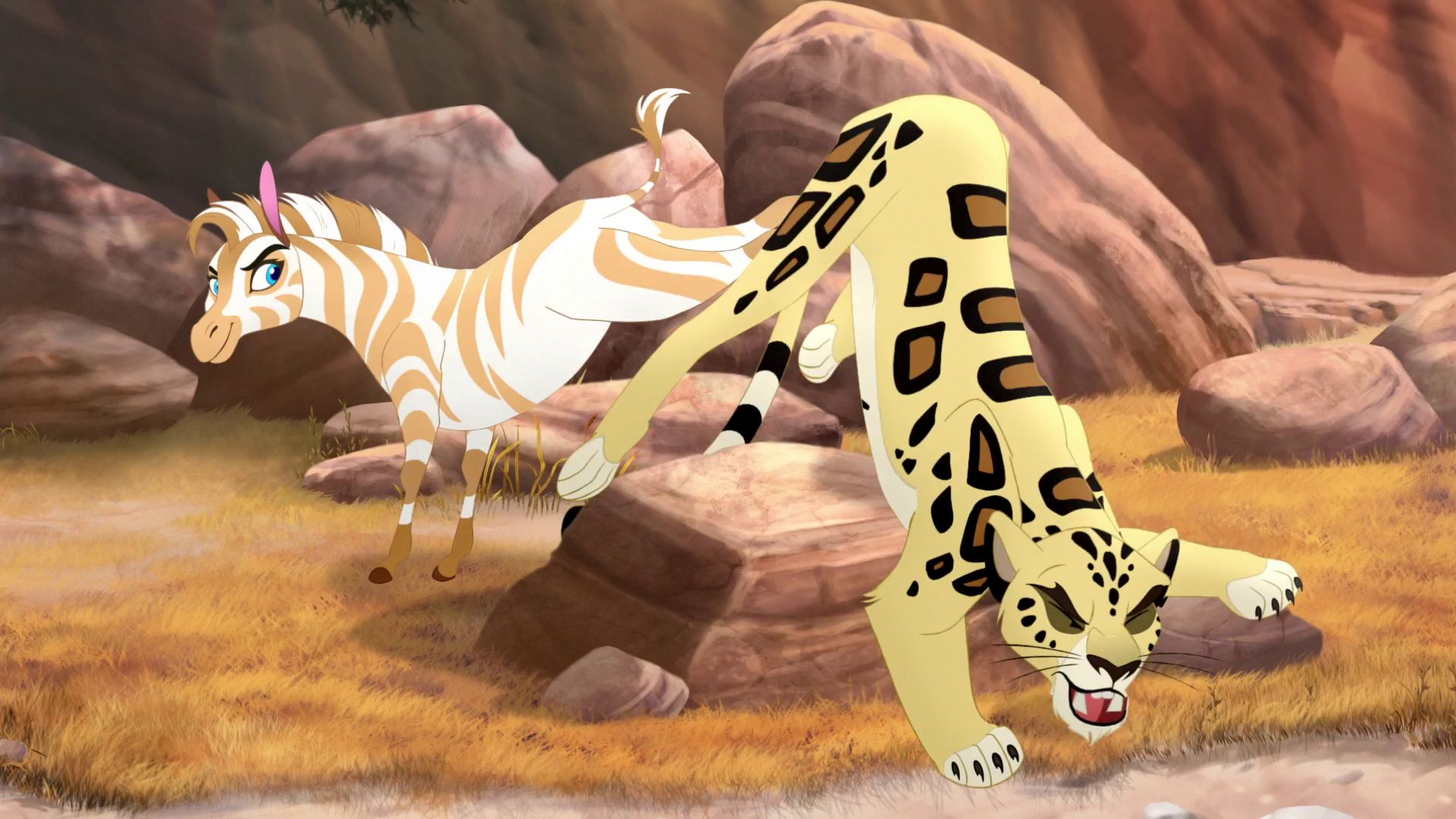 golden zebra