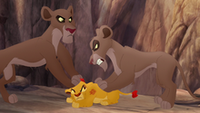 Lions-of-the-outlands (455)