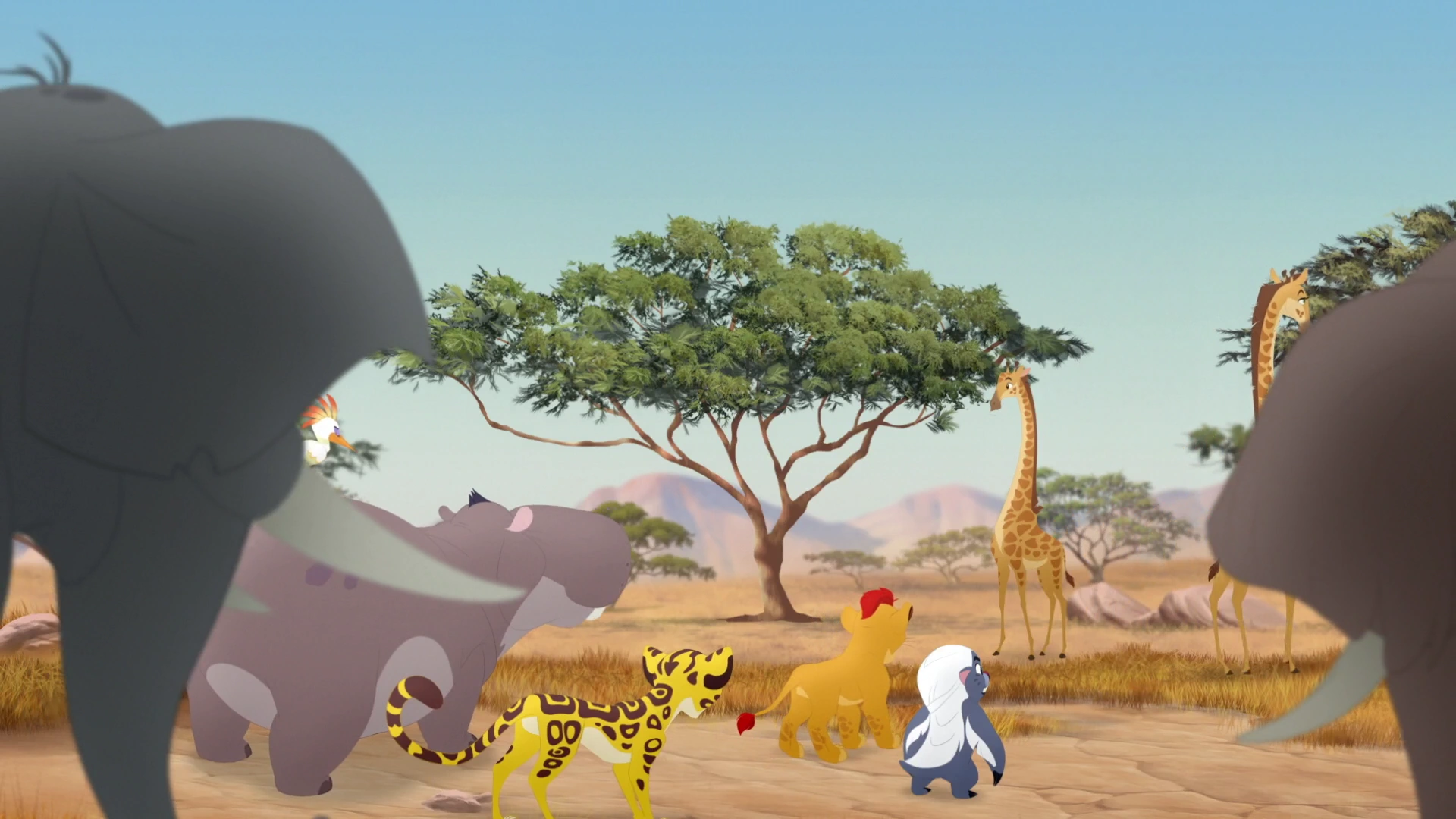 Acacia Grove The Lion Guard Wiki FANDOM powered by Wikia