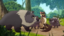 Mama-Binturong (441)