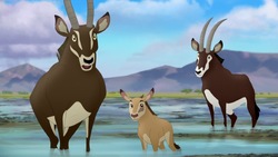 Boboka/Relationships | The Lion Guard Wiki | Fandom