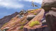 The-mbali-fields-migration (184)