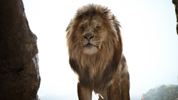 Lionking2019-animationscreencaps.com-757