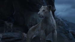 Lionking2019-animationscreencaps.com-11237