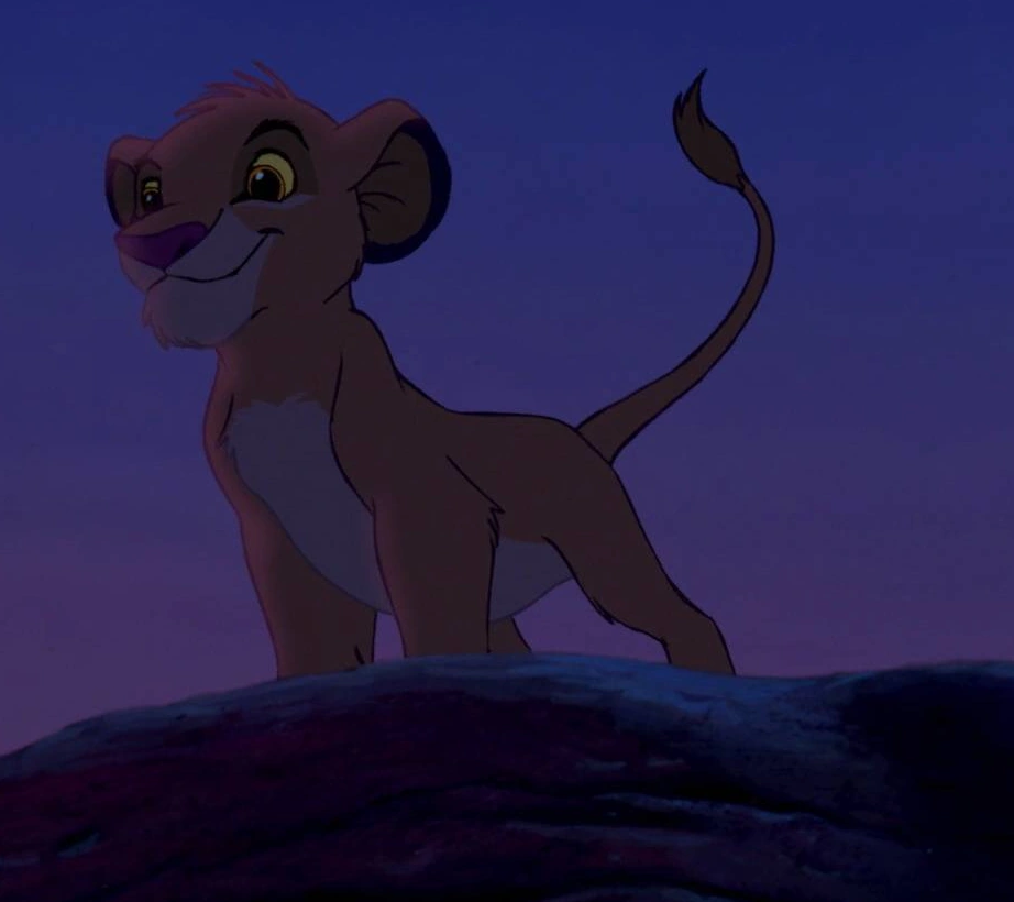 Image Simba on pride rock.png The Lion King Wiki FANDOM powered by Wikia