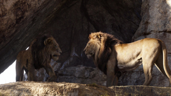 Lionking2019-animationscreencaps.com-884