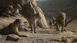 Lionking2019-animationscreencaps.com-7214