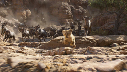 Lionking2019-animationscreencaps.com-4619